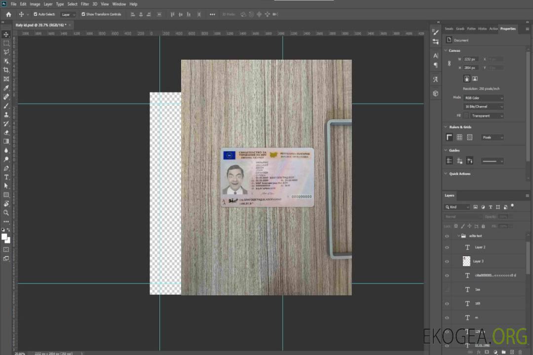 Permis de conduire bulgare (2010 – présent) photolook AVANT template